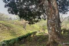 WhatsApp-Image-2024-01-29-at-21.29.32-3
