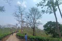 WhatsApp-Image-2024-01-29-at-21.29.33